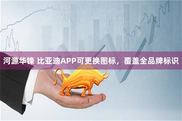 河源华锋 比亚迪APP可更换图标，覆盖全品牌标识